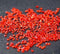 New 1440Pcs Micro Diamond DIY Nails Rhinestones Crystal Flat Back Non Hotfix Rhinestones stickers Need Glue Nail Art Decoration-light siam-JadeMoghul Inc.