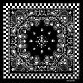 New Design Fashion Hip Hop 100% Cotton Skull Bandana Square Scarf Black Paisley Bicycle Headband For Women/Men/Boys/Girls AExp