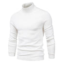 New Winter Turtleneck Thick Mens Sweaters Casual Turtle Neck Solid Color Quality Warm Slim Turtleneck Sweaters Pullover Men AExp