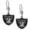 NFL - Oakland Raiders Crystal Dangle Earrings-Jewelry & Accessories,Earrings,Crystal Dangle Earrings,NFL Crystal Earrings-JadeMoghul Inc.