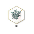 Nordic Hexagon Green Plant Canvas Painting HD Cactus Pineapple Wall Pictures For Living Room Fashion Home Decor Poster Wall Art JadeMoghul Inc. 