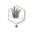 Nordic Hexagon Green Plant Canvas Painting HD Cactus Pineapple Wall Pictures For Living Room Fashion Home Decor Poster Wall Art JadeMoghul Inc. 