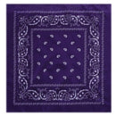 outdoor Bandana Square Scarf 55cm*55cm Black Red Paisley Headband Printed For Women/Men/Boys/Girls JadeMoghul Inc. 