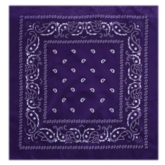 outdoor Bandana Square Scarf 55cm*55cm Black Red Paisley Headband Printed For Women/Men/Boys/Girls JadeMoghul Inc. 