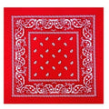 outdoor Bandana Square Scarf 55cm*55cm Black Red Paisley Headband Printed For Women/Men/Boys/Girls JadeMoghul Inc. 