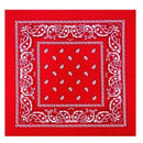 outdoor Bandana Square Scarf 55cm*55cm Black Red Paisley Headband Printed For Women/Men/Boys/Girls JadeMoghul Inc. 