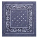 outdoor Bandana Square Scarf 55cm*55cm Black Red Paisley Headband Printed For Women/Men/Boys/Girls JadeMoghul Inc. 