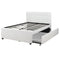 Wooden Full Bed With Trundle And SQU Tufted HB, White