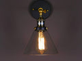 Pendant Lights Glass Pendant Light - Lilo Glass Antique Edison Light HomeRoots