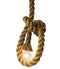 Pendant Lights Pendant Lighting - Leandra 1-light Hemp Rope 100-inch Edison Pendant with Bulb HomeRoots