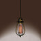 Pendant Lights Pendant Lighting - Priscilla Single-light Edison Pendant with Bulb HomeRoots