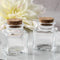Perfectly Plain Collection square clear glass treat jar-Wedding Candy Buffet Accessories-JadeMoghul Inc.
