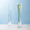Personalized Gifts LSA Champagne Flutes Set of 2