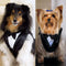 Pet Tux Large (Pack of 1)-Wedding Ceremony Accessories-JadeMoghul Inc.