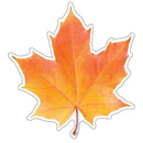 PHOTO LEAF PAPER CUT-OUTS-Learning Materials-JadeMoghul Inc.