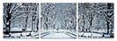 Photos Canvas Photo Prints - 24" Multicolor Canvas 3 Horizontal Panels Winter Trees Photo HomeRoots