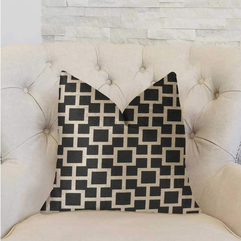 Pillows Black Throw Pillows - Black and White Luxury Throw Pillow Double sided 16" x 16" HomeRoots