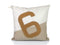 Pillows Down Pillows - 19.29" X 19.29" X 6.30" Linen Recycled Sailcloth Pillow Ambre Leather 6 HomeRoots