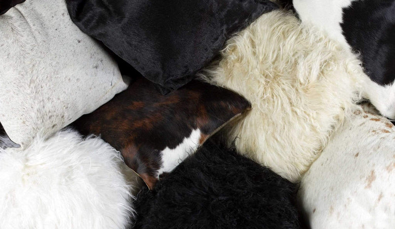 Pillows Throw Pillows - 18" x 18" x 5" Chocolate Sheepskin - Pillow HomeRoots