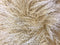 Pillows White Pillow - 17" Gold Genuine Tibetan Lamb Fur Pillow with Micro suede Backing HomeRoots