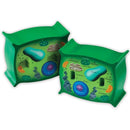 PLANT CELL CROSSSECTION MODEL-Learning Materials-JadeMoghul Inc.