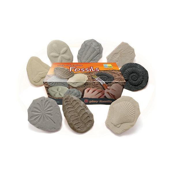 PLAY AND EXPLORE FOSSILS-Supplies-JadeMoghul Inc.