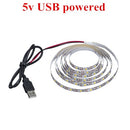 WELPUR battery 5V USB LED Strip 2835 DC LED Light Flexible 50CM 1M 2M 3M 5M white warm  For TV Background Lighting Night light