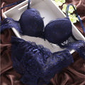 Push Up Bra Lace Bra And Panty Set Women’s Embroidery Deep V Lingerie & Knickers