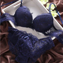Push Up Bra Lace Bra And Panty Set Women’s Embroidery Deep V Lingerie & Knickers