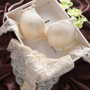 Push Up Bra Lace Bra And Panty Set Women’s Embroidery Deep V Lingerie & Knickers