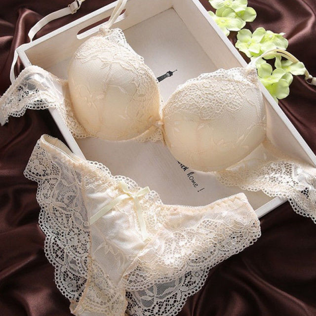 Push Up Bra Lace Bra And Panty Set Women’s Embroidery Deep V Lingerie & Knickers