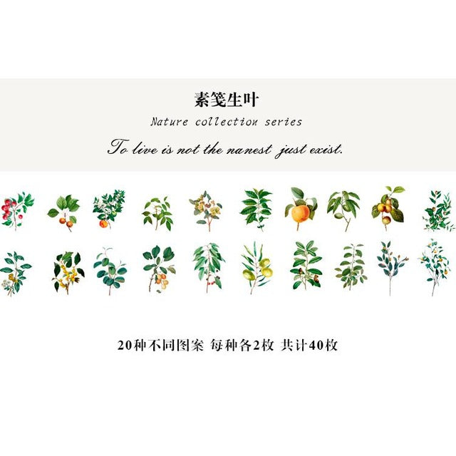 40pcs/pack Refreshing Plants Flower Sticker Decoration Stickers Diary Scrapbooking Label Sticker Stationery