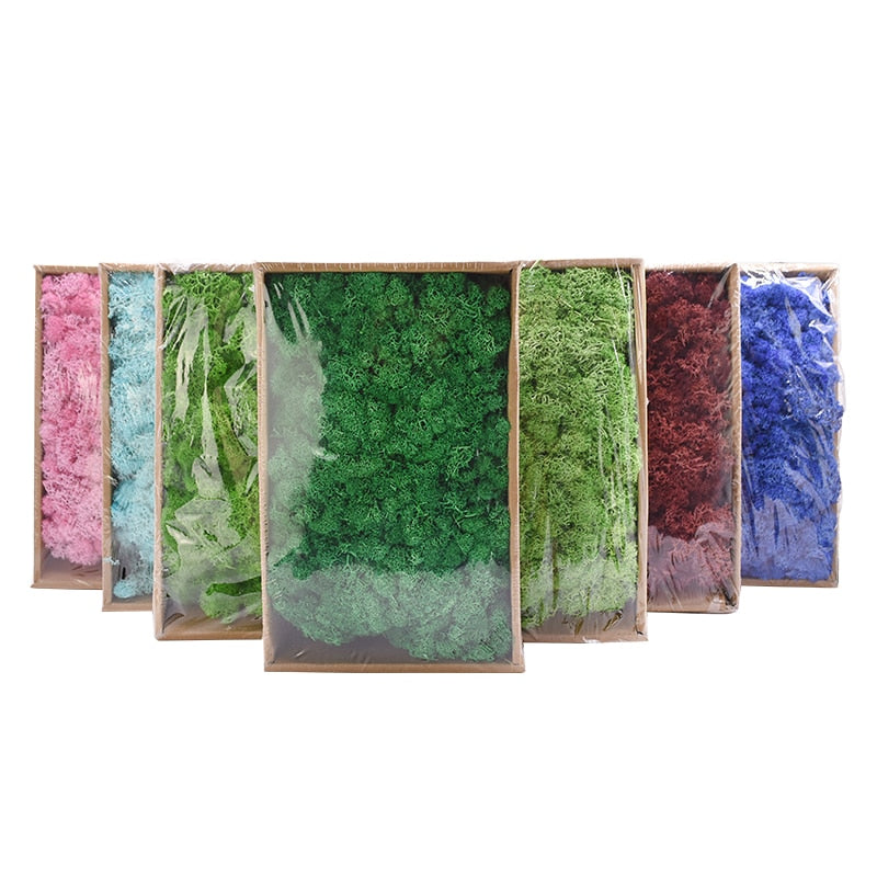 20g High Quality Artificial Moss Immortal Moss Simulation Green Plant Grass Home Decorative Wall DIY Micro Landscape Accessories