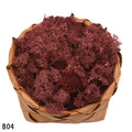 20g High Quality Artificial Moss Immortal Moss Simulation Green Plant Grass Home Decorative Wall DIY Micro Landscape Accessories