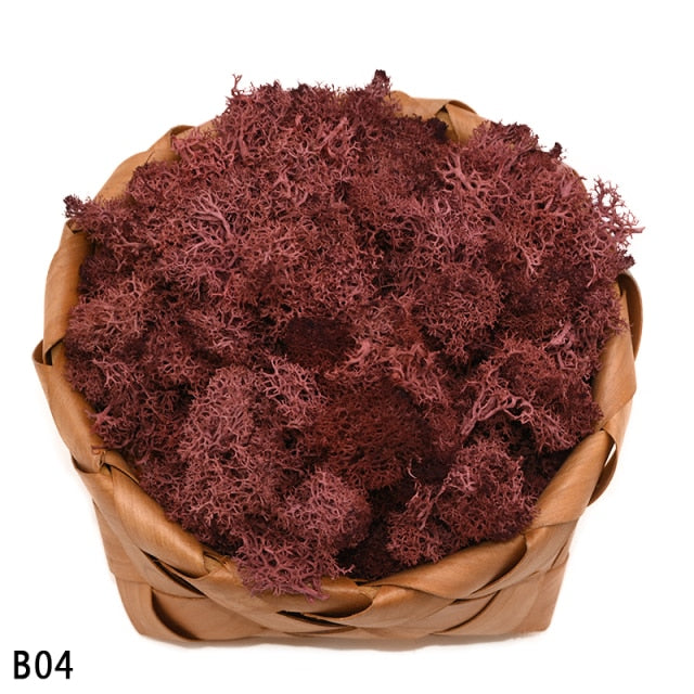 20g High Quality Artificial Moss Immortal Moss Simulation Green Plant Grass Home Decorative Wall DIY Micro Landscape Accessories