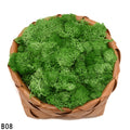 20g High Quality Artificial Moss Immortal Moss Simulation Green Plant Grass Home Decorative Wall DIY Micro Landscape Accessories