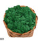 20g High Quality Artificial Moss Immortal Moss Simulation Green Plant Grass Home Decorative Wall DIY Micro Landscape Accessories
