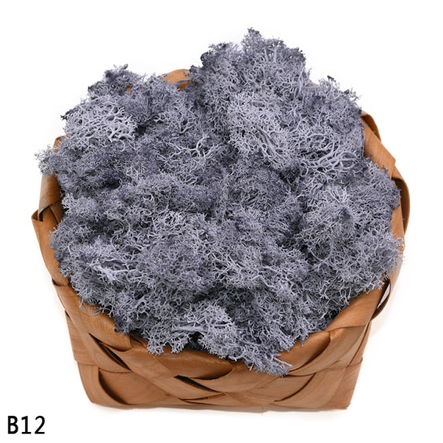 20g High Quality Artificial Moss Immortal Moss Simulation Green Plant Grass Home Decorative Wall DIY Micro Landscape Accessories