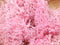 20g Artificial plant eternal life moss / Garden home decoration wall DIY Flower material Mini Garden Micro Landscape Accessories