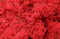 20g Artificial plant eternal life moss / Garden home decoration wall DIY Flower material Mini Garden Micro Landscape Accessories