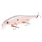 1 PCS/Lot 14 cm/ 23 g Minnow Fishing Lures Wobbler Hard Baits Crankbaits ABS Artificial Lure For Bass Pike Fishing Tackle