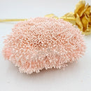 900pcs/lot Random Mixed Double Heads DIY Artificial Mini Pearl Flower Stamen Pistil 1mm Floral Stamen For Wedding Decoration DIY