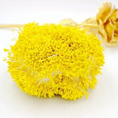 900pcs/lot Random Mixed Double Heads DIY Artificial Mini Pearl Flower Stamen Pistil 1mm Floral Stamen For Wedding Decoration DIY