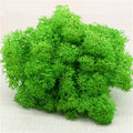 High quality artificial green plant immortal fake flower Moss grass home living room decorative wall DIY flower mini accessories