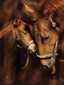 MTEN Diamond Embroidery Anmial Cross Stitch DIY Diamond Painting Horse Diamond Mosaic Rhinestones Home Decor