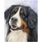 25 Pattern Animal 5D Diy Diamond Painting Cross Ctitch Kits  Wall Sticker Diamond art Mosaic Embroidery Painting New Year Gift