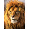 25 Pattern Animal 5D Diy Diamond Painting Cross Ctitch Kits  Wall Sticker Diamond art Mosaic Embroidery Painting New Year Gift