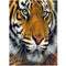 25 Pattern Animal 5D Diy Diamond Painting Cross Ctitch Kits  Wall Sticker Diamond art Mosaic Embroidery Painting New Year Gift