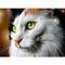 25 Pattern Animal 5D Diy Diamond Painting Cross Ctitch Kits  Wall Sticker Diamond art Mosaic Embroidery Painting New Year Gift