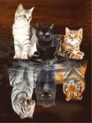 Evershine 5D Diamond Painting Cat Full Square Diamond Embroidery Animals Reflection Pictures Of Rhinestones Mosaic Home Decor